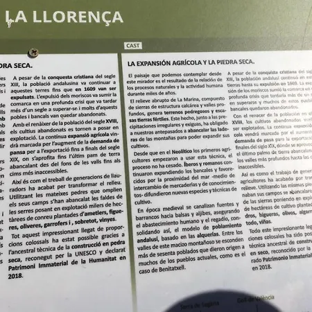 Marcella,