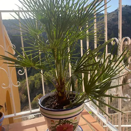 Apartamento Marcella,